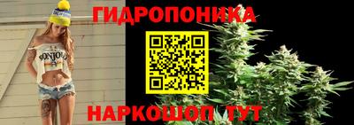 ешки Краснодар