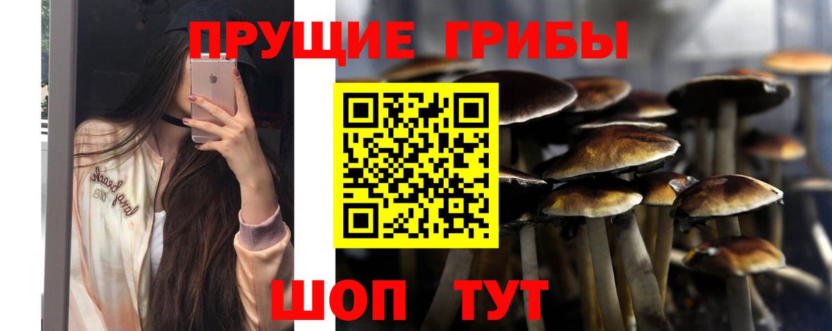 Галлюциногенные грибы прущие грибы Донской